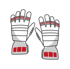 Handschuhe Anti-Riot